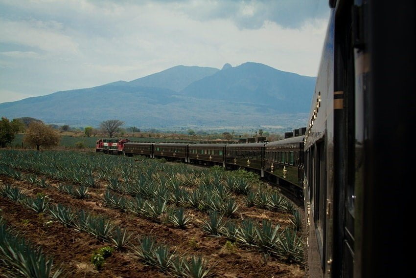 Jose Cuervo Express: Το αγαπημένο «τρένο τεκίλα» του Μεξικού - Ταξιδιωτικά Νέα