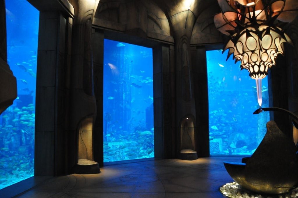The Lost Chambers Aquarium | Underwater house, Underwater room, Atlantis