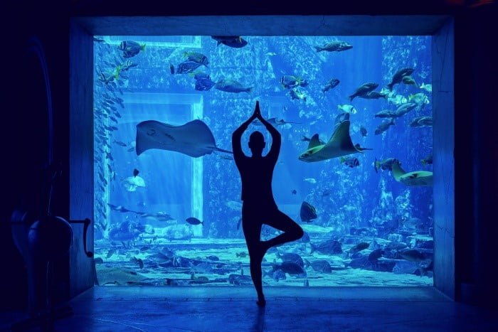 New underwater yoga class at Atlantis, the Palm | News | Breaking Travel  News