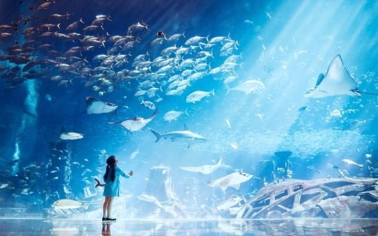 The Lost Chambers Fish Tales Tour - Review of The Lost Chambers Aquarium,  Dubai, United Arab Emirates - Tripadvisor