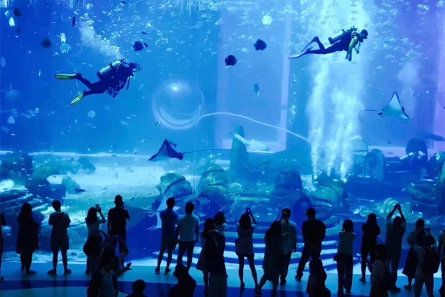 Sanya Atlantis the Lost Chambers Aquarium Package - Hainan China Travel  Guide, Your Trip Advisor for Hainan Island