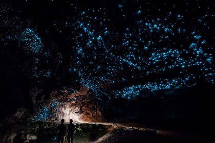Waitomo Glowworm : τα μαγευτικά σπήλαια που φωσφορίζουν - Εξωτερικό