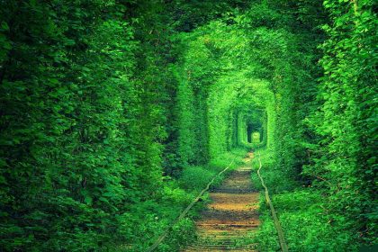 Tunnel of Love: η ιστορία αγάπης του πιο ρομαντικού μέρους της Ουκρανίας - Εξωτερικό