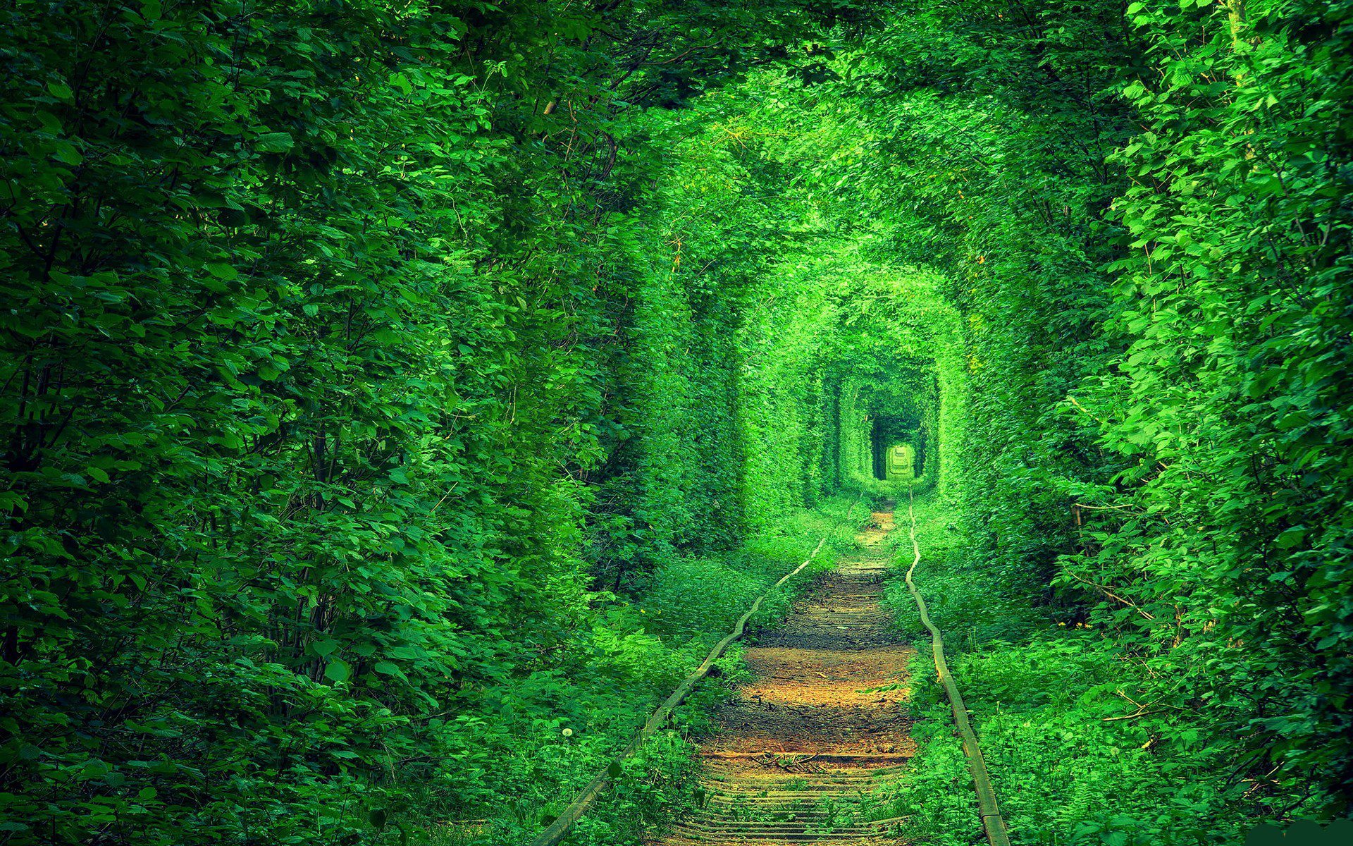 Tunnel of Love: η ιστορία αγάπης του πιο ρομαντικού μέρους της Ουκρανίας - Ντουμπάι, ΗΑΕ