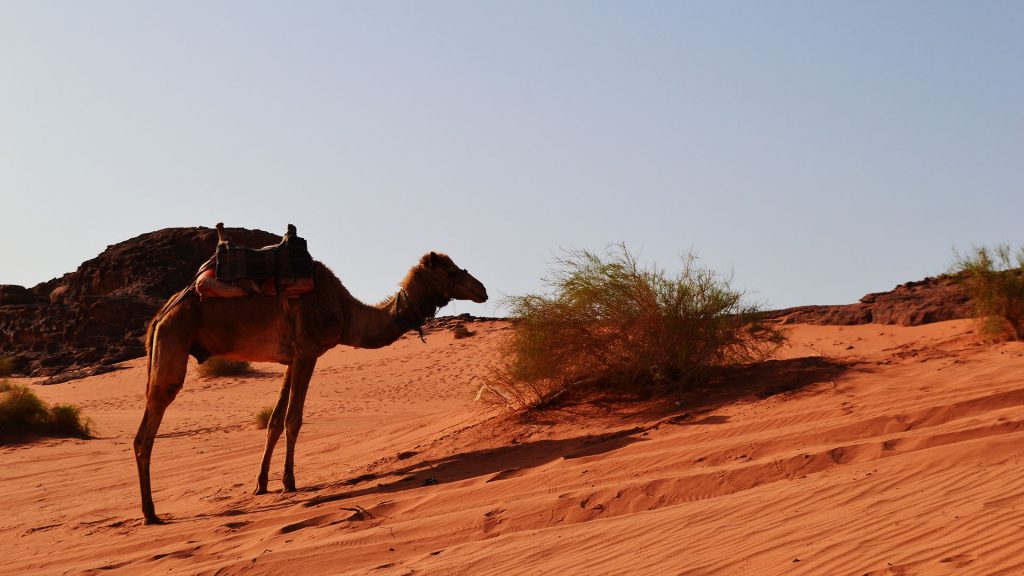 Ιορδανία: Η απόλυτη εμπειρία της ερήμου Wadi Rum - Ταξιδιωτικές Εμπειρίες