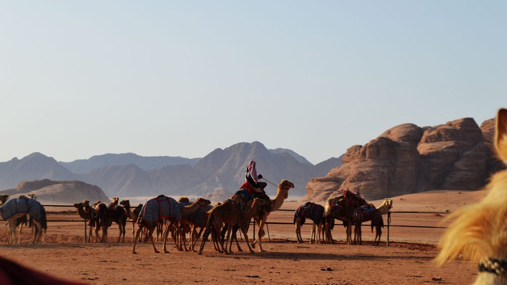 Ιορδανία: Η απόλυτη εμπειρία της ερήμου Wadi Rum - Ταξιδιωτικές Εμπειρίες