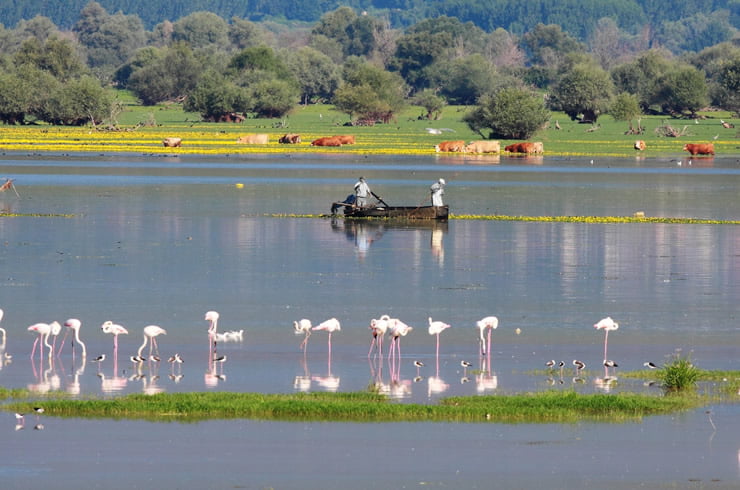 Birdwatching: η νέα τάση για να έρθετε σε επαφή με τη φύση - Ταξιδιωτικές Εμπειρίες