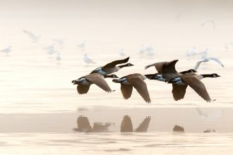Birdwatching: η νέα τάση για να έρθετε σε επαφή με τη φύση - Ταξιδιωτικές Εμπειρίες