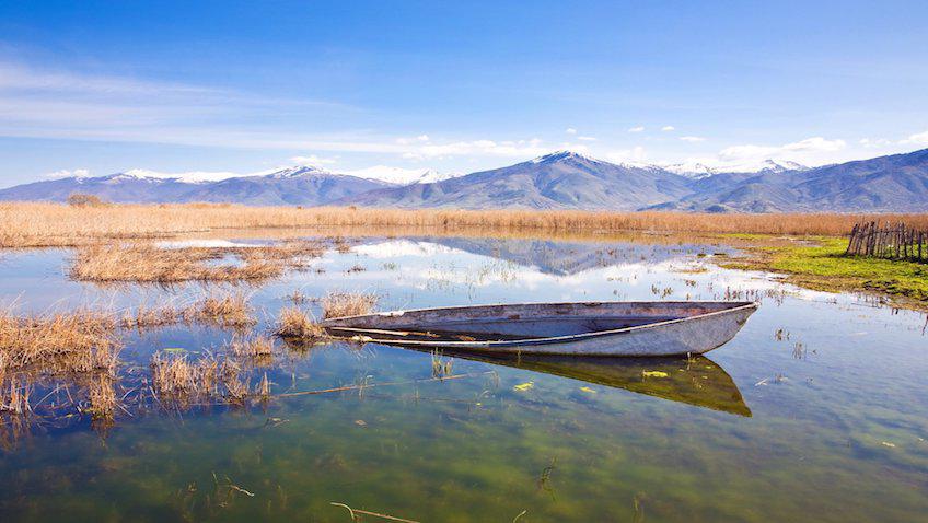 Birdwatching: η νέα τάση για να έρθετε σε επαφή με τη φύση - Ταξιδιωτικές Εμπειρίες