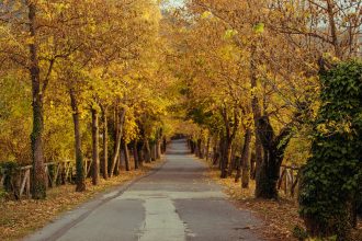 Ο «Δρόμος της Αγάπης»: Περπατώντας στο περίφημο μονοπάτι των ερωτευμένων στην Ορεινή Αρκαδία - Ελλάδα