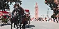 people riding horses on road during daytime