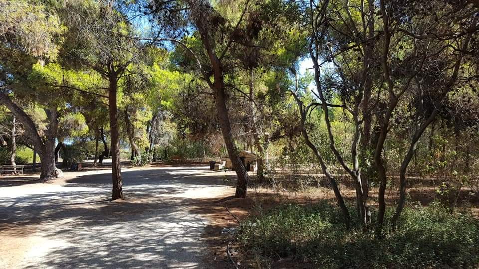 Συκιά Κορινθίας: το «πράσινο ακρογιάλι της πατρίδας» - Κόρινθος