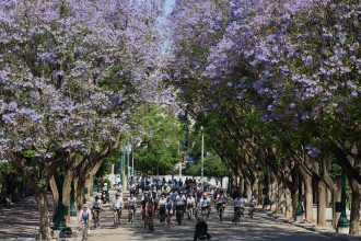 Τρέχουμε – Κάνουμε ποδήλατο και Ενημερωνόμαστε στις 11 Ιουνίου στο Ζάππειο - Ταξιδιωτικά Νέα