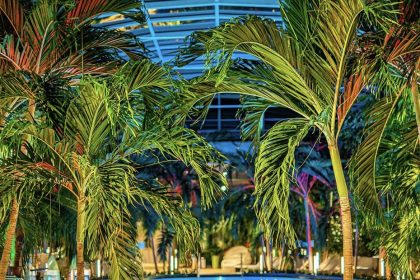 Therme Bucharest: Ένας τροπικός παράδεισος στη μέση της Ρουμανίας - must see