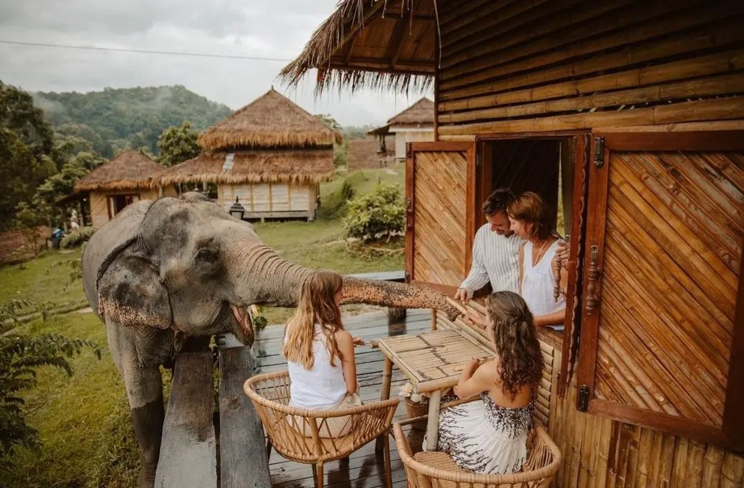The Chai Lai Orchid: Μοιραστείτε τη διαμονή σας με ελέφαντες - Travellers