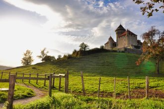 chateau, haute-savoie, fields