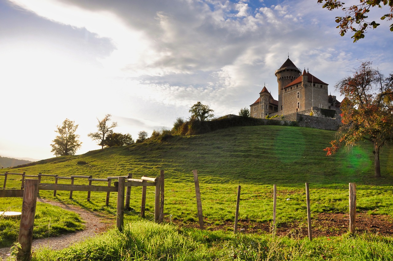 chateau, haute-savoie, fields