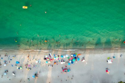 people on beach during daytime