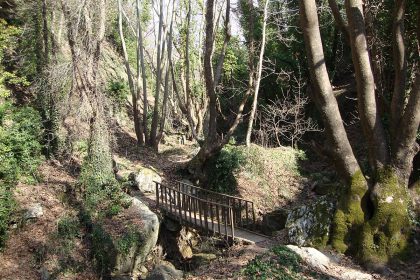 Επίσκεψη στο γραφικό χωριό της Πορταριάς, μια ανάσα από τον Βόλο - Πορταριά