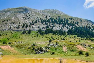 Πάρνωνας: Όλα όσα πρέπει να γνωρίζεται για τη μεγαλύτερη οροσειρά της Πελοποννήσου! - Ελλάδα