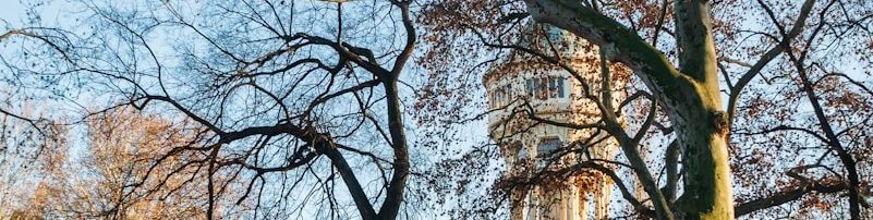 Βουδαπέστη με Μηδενικό Budget: 8 Δωρεάν Πράγματα που Δεν Πρέπει να Χάσεις - Ουγγαρία Νησί Μαργαρίτα – ηρεμία στη μέση του Δούναβη