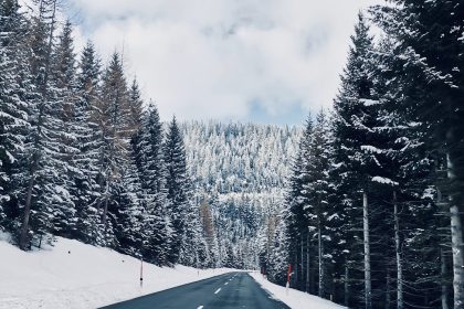 a road in the middle of a forest covered in snow