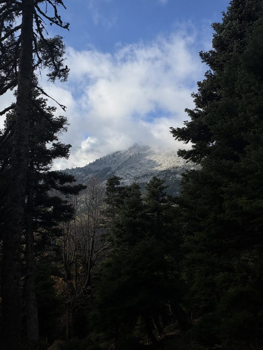 Δίρφη: Το μυστικό της Κεντρικής Ελλάδας - Ελλάδα, Εύβοια, Ταξιδιωτικές Εμπειρίες