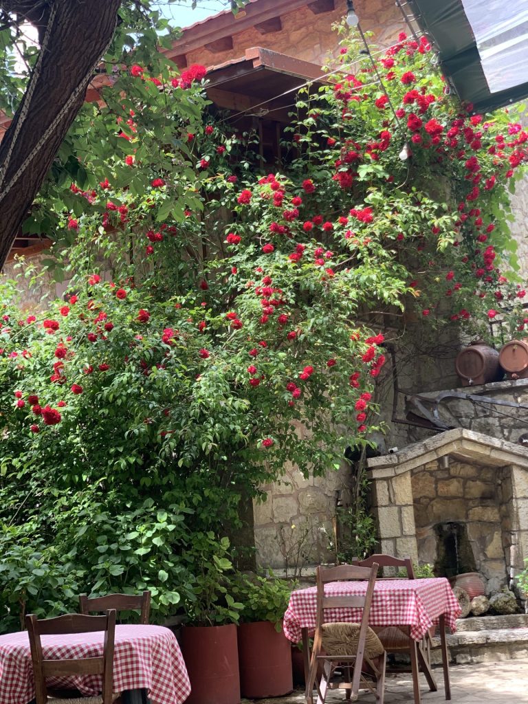 Όπου η Θάλασσα συναντά τα Έλατα: Η Αγόριανη μέσα από τα μάτια της Μαρίας Μπουμπούκα - Travellers, Ελλάδα, Ταξιδιωτικές Εμπειρίες, Ταξιδιωτικοί οδηγοί