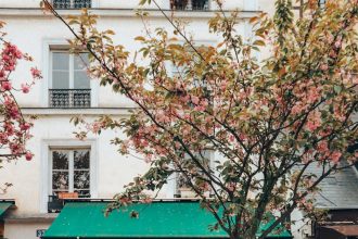 a tree in front of a store with a green awning