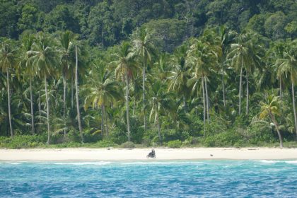 a man riding a surfboard on top of a body of water