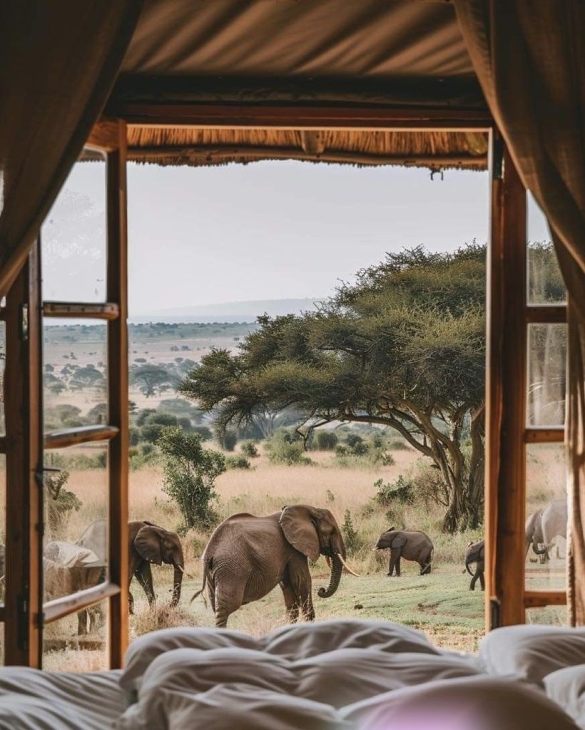 Κένυα: Ο απόλυτος οδηγός για ένα ταξίδι στην άγρια ομορφιά της Αφρικής - Αφρική, Κένυα, Ταξιδιωτικές Εμπειρίες, Ταξιδιωτικοί οδηγοί